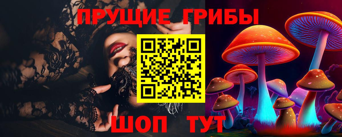 Псилоцибиновые грибы Psilocybe Карпинск