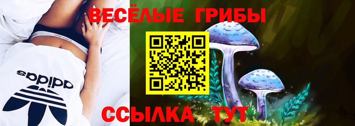 Галлюциногенные грибы Psilocybe  Вход с VPN  Карпинск 